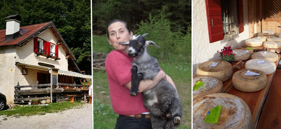 "Ho scelto il richiamo della montagna", da ingegnera idraulica a malgara